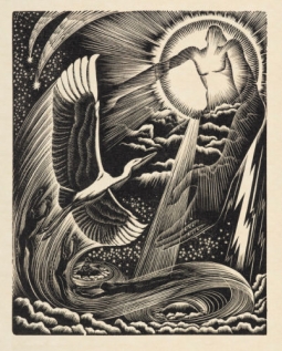 Te Kotuku Rerenga by E. Mervyn Taylor